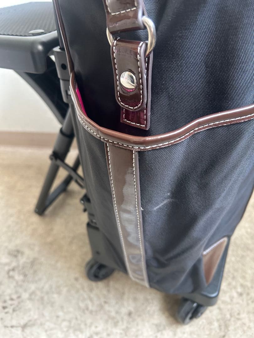 スワニーキャリーバッグLサイズ　イス付き