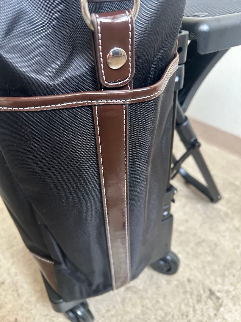 スワニーキャリーバッグLサイズ　イス付き