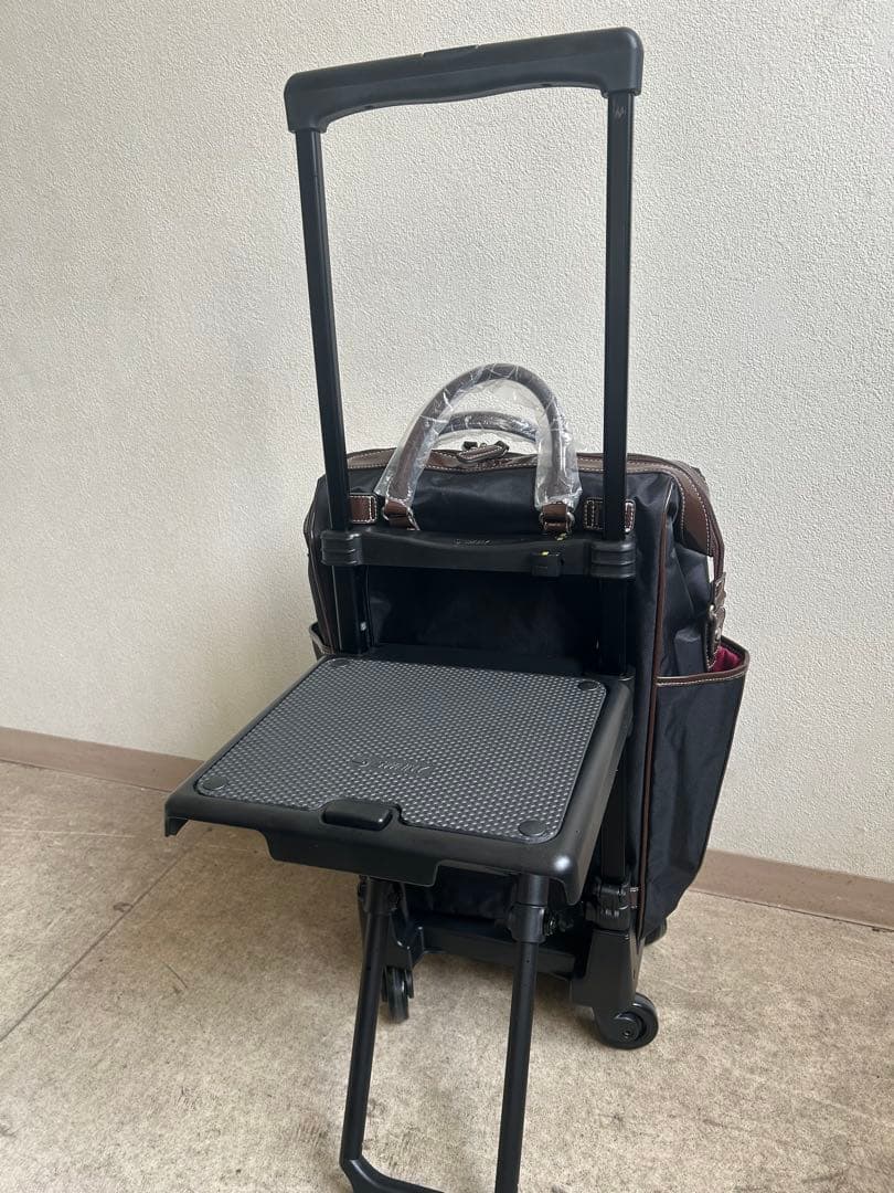 スワニーキャリーバッグLサイズ　イス付き