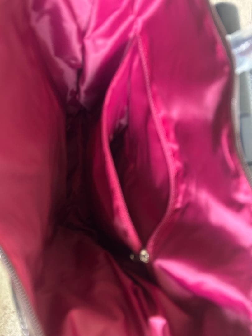 スワニーキャリーバッグLサイズ　イス付き