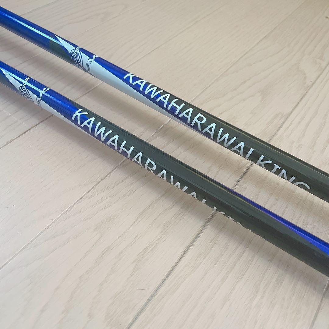 カワハラウォーキング/カワハラポール /紫