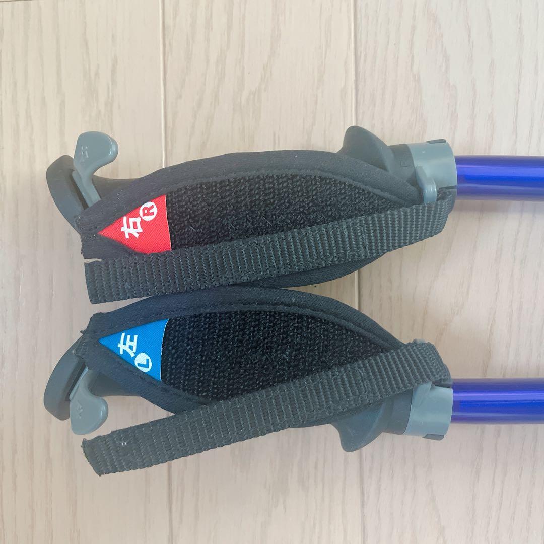 カワハラウォーキング/カワハラポール /紫