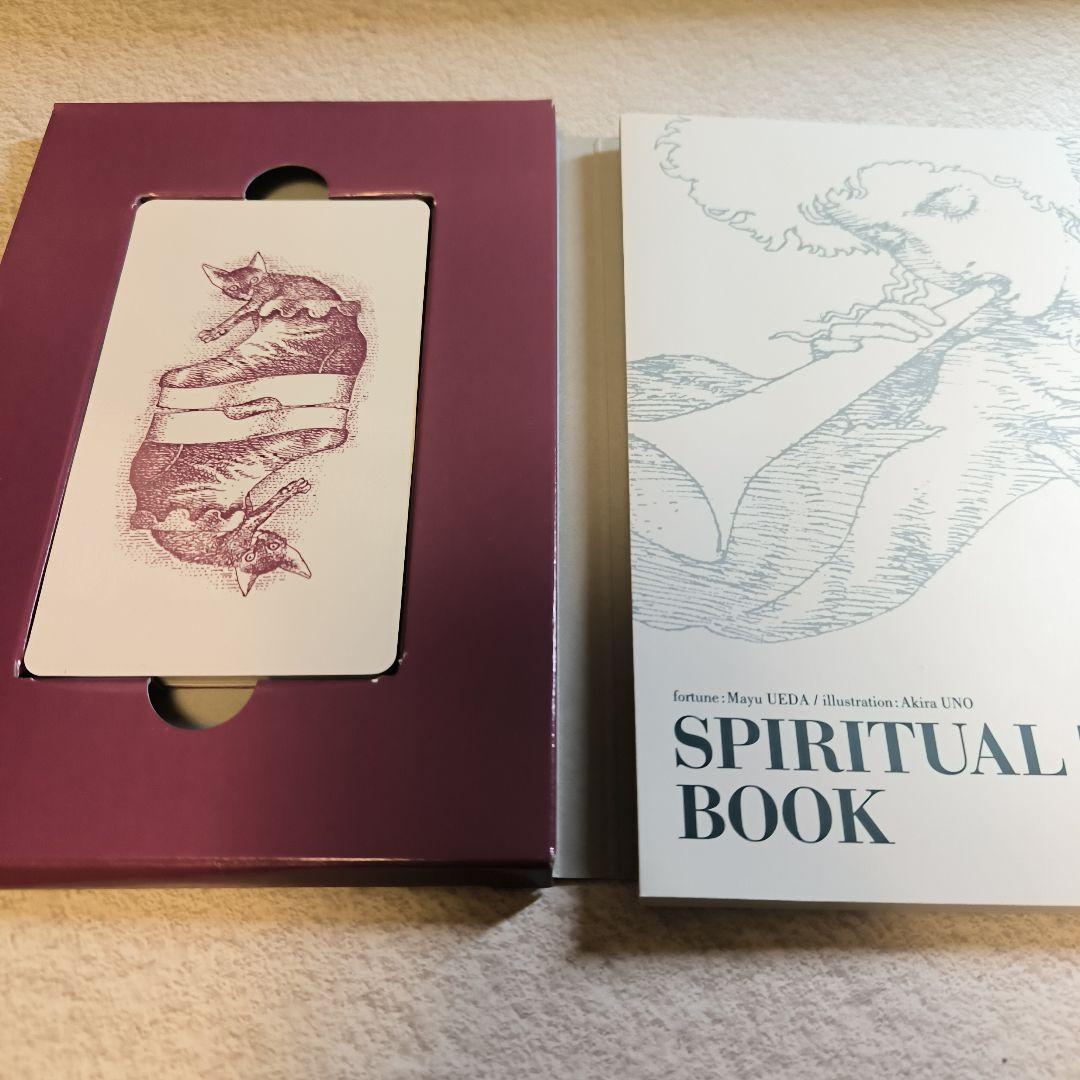 スピリチュアルタロット　心の扉を開く22枚の気付きのカード