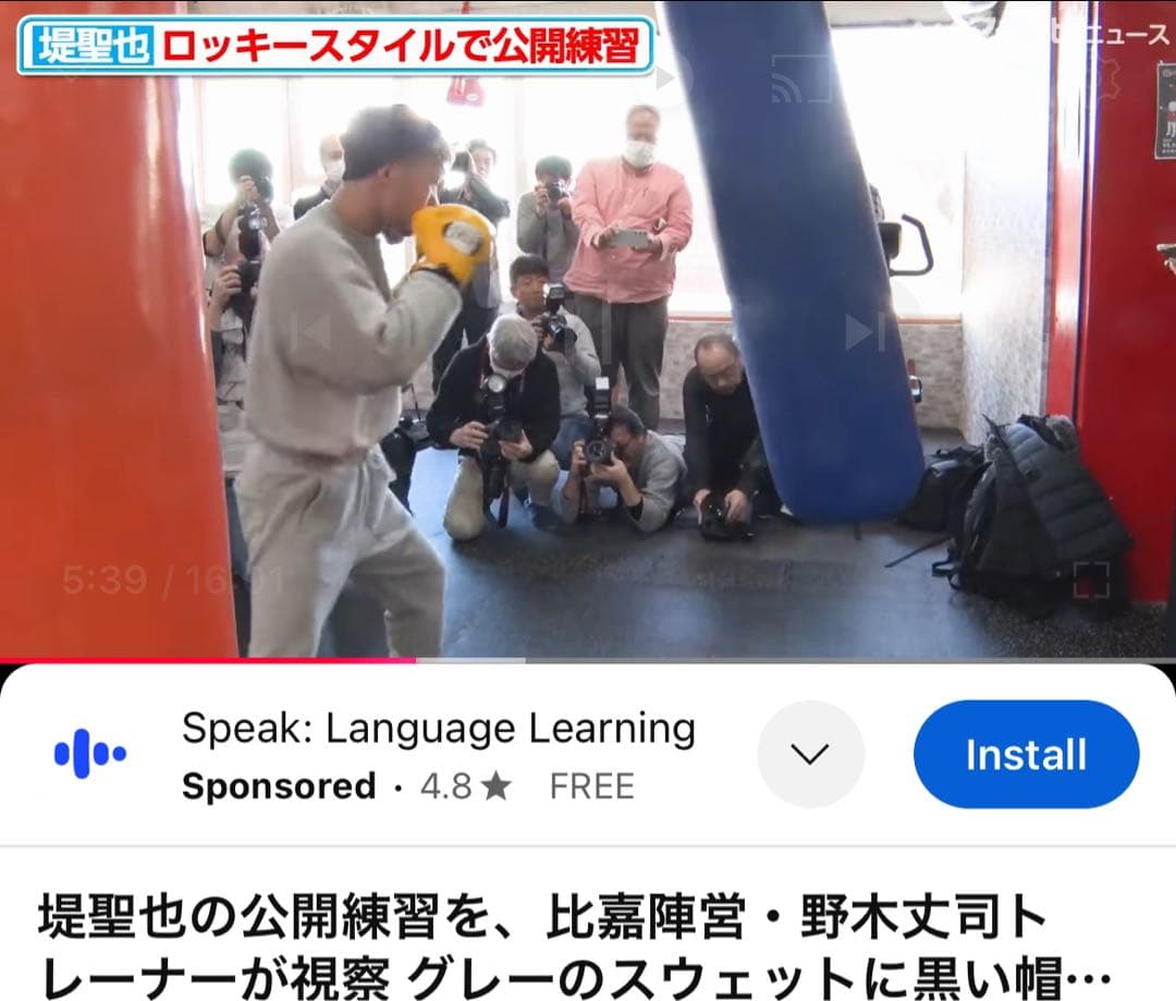 ボクシング応援キャンペーン Reyes 16oz ボクシンググローブ