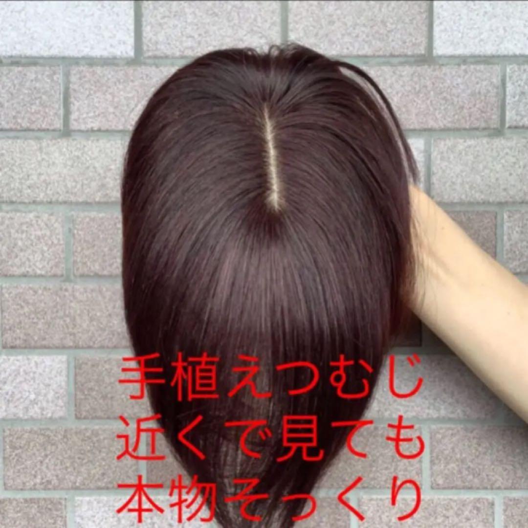 人毛100% 総手植 医療用 部分ウィッグ ヘアピース かつら ブラウン 茶 黒