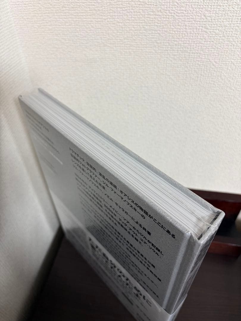 新品未開封OASIS オアシス 写真集TRYING TO FIND 限定版