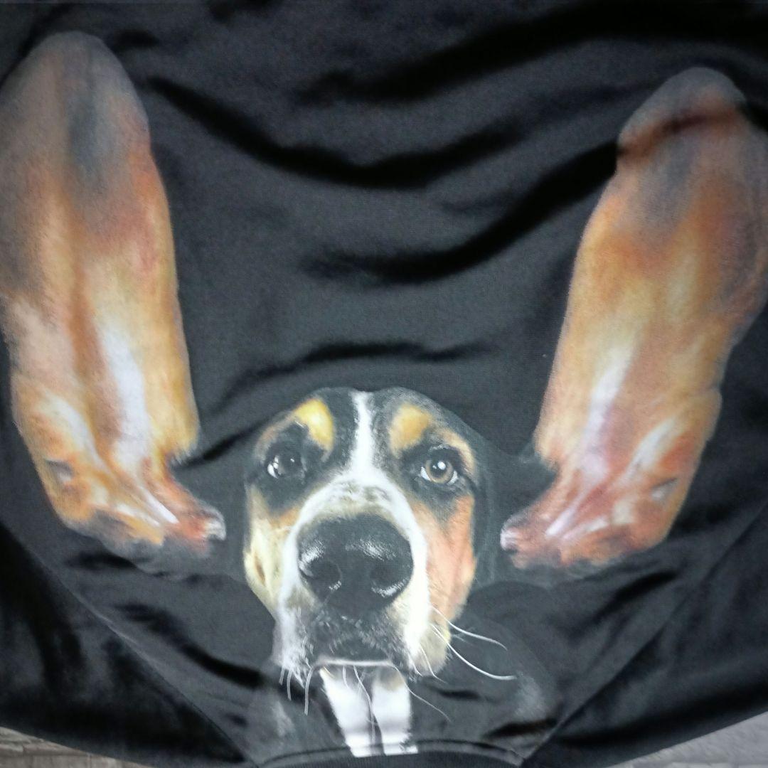 タグ付き☆アディダス×リタオラ ジャージ バックロゴ ATPタイプ 希少サイズ