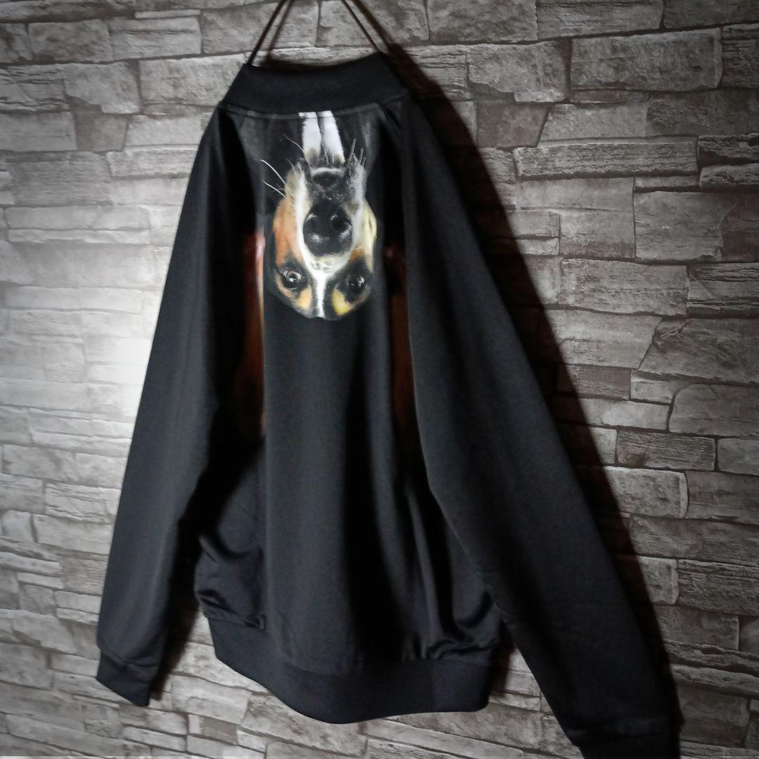 タグ付き☆アディダス×リタオラ ジャージ バックロゴ ATPタイプ 希少サイズ