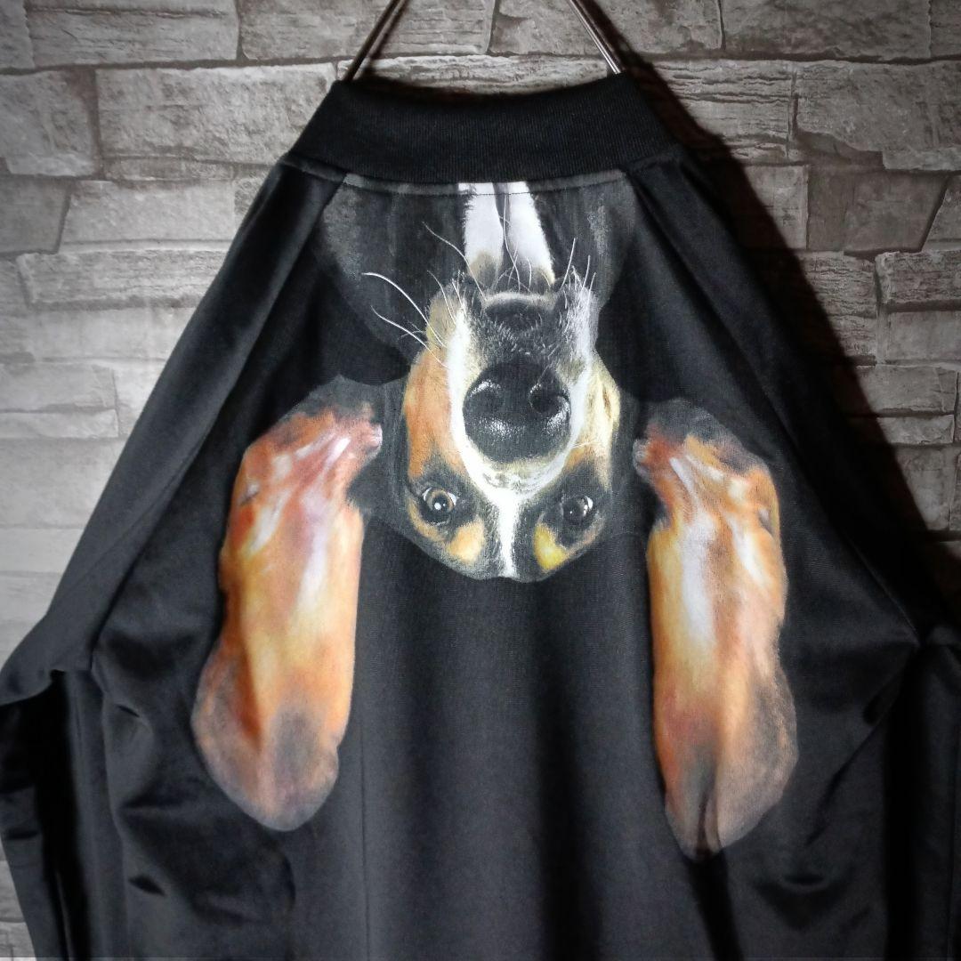 タグ付き☆アディダス×リタオラ ジャージ バックロゴ ATPタイプ 希少サイズ