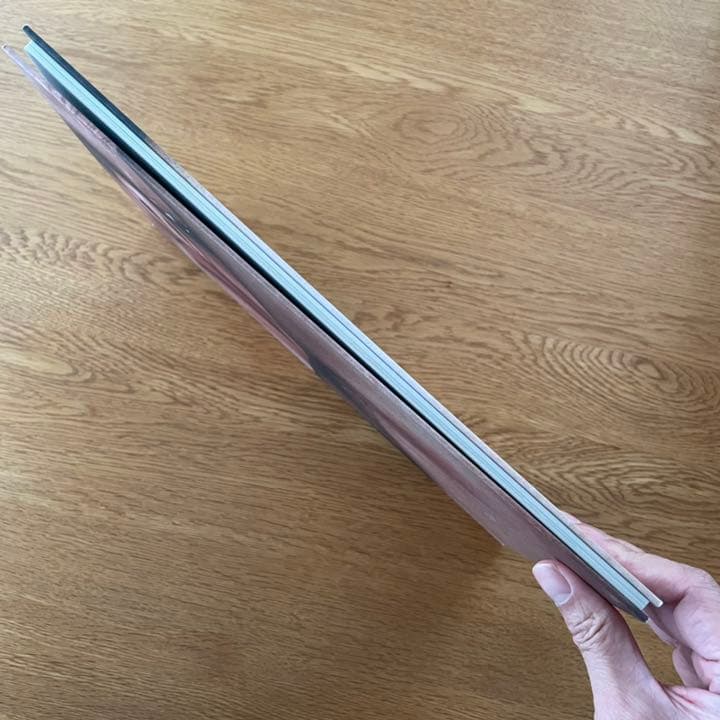 洋書 TERRY RICHARDSON SHINE GALLERY 2000