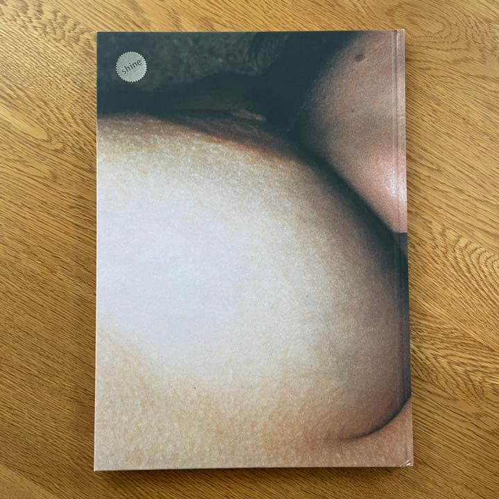 洋書 TERRY RICHARDSON SHINE GALLERY 2000