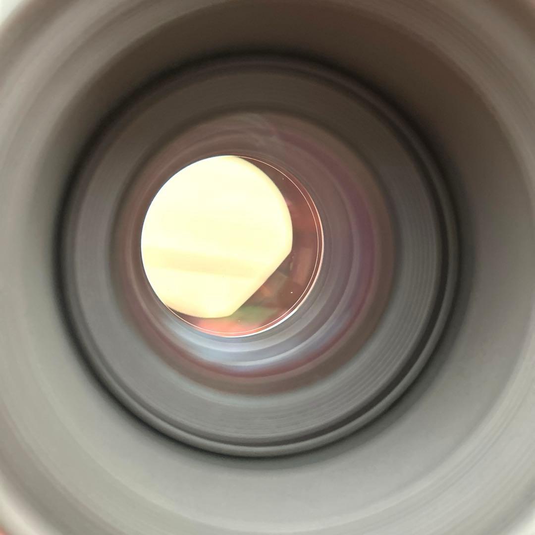 SONY 100mm 1:2.8 MACRO SAL100M28 マクロレンズ