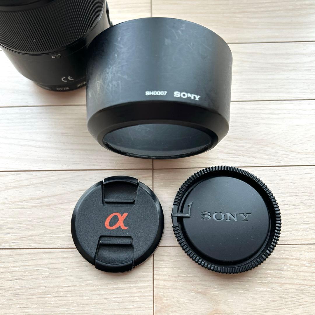 SONY 100mm 1:2.8 MACRO SAL100M28 マクロレンズ