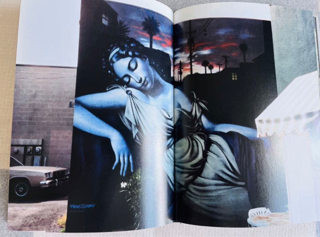 【洋書】Alianza: The MAC & Retna / ウォールアート