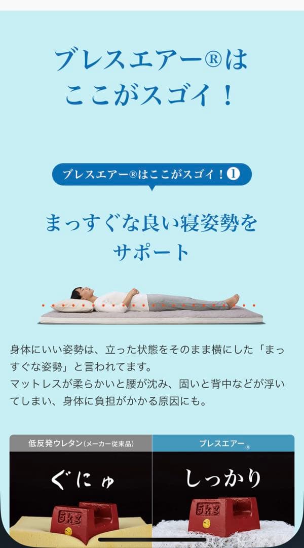 【未使用品】ブレスエアー(3次元スプリング構造体)シングル グレー