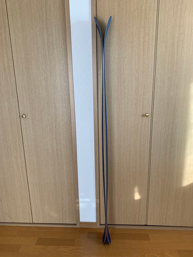 バックカントリースキー板dps wailer F106 168cm