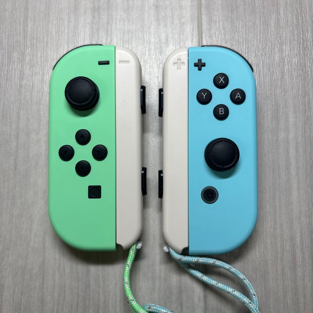 Nintendo Switch ニンテンドースイッチ どうぶつの森