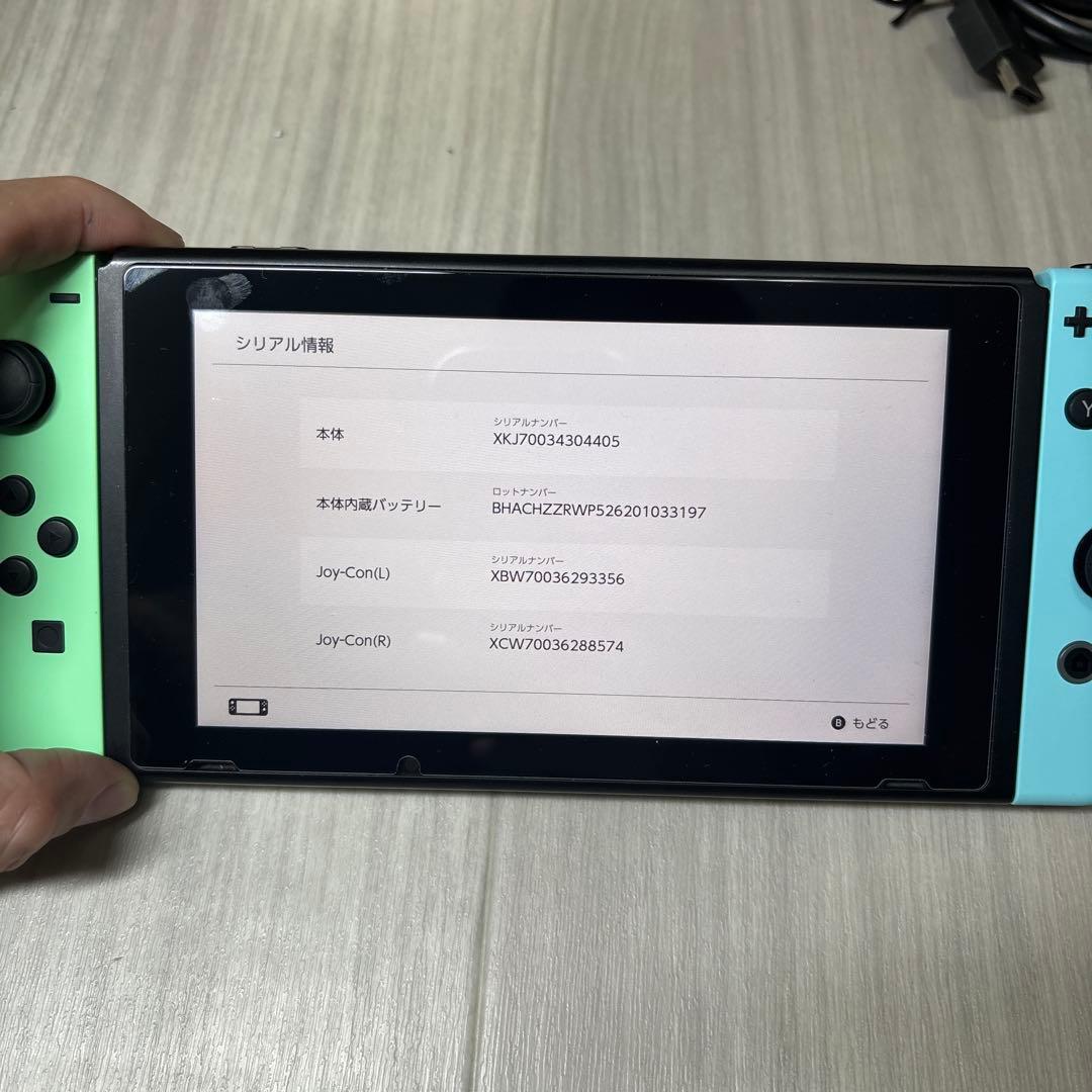 Nintendo Switch ニンテンドースイッチ どうぶつの森