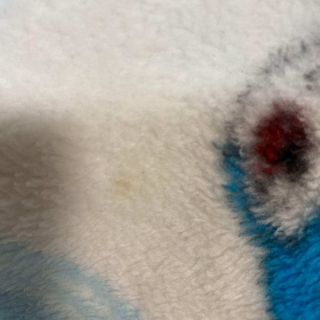 (希少)デジモンアドベンチャー02 毛布