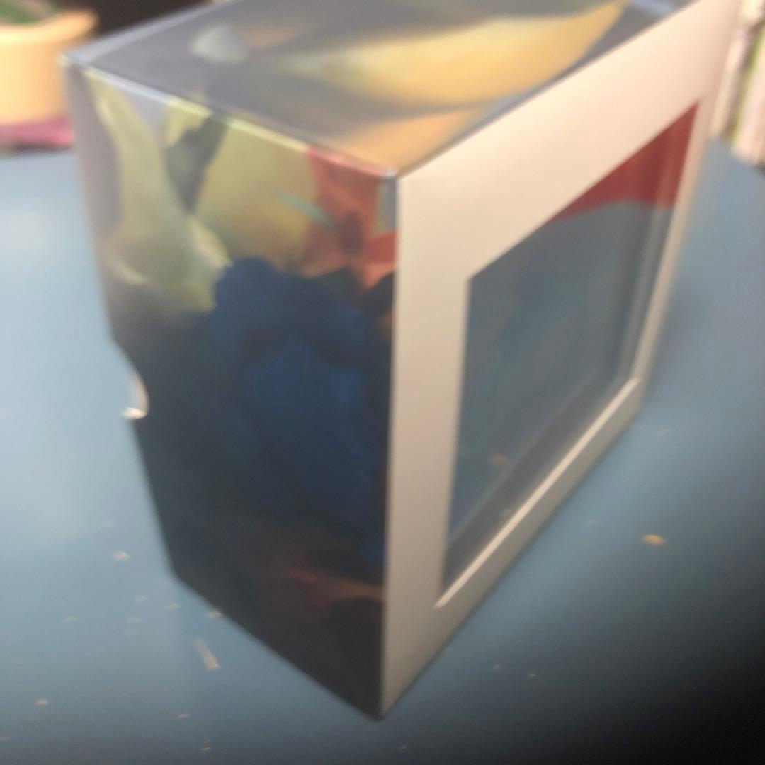 GRAPEVINE 新しい果実　スペシャルパッケージ　Tシャツ付き