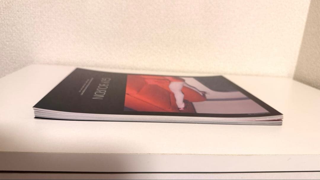 GUY BOURDIN ギイ・ブルダン 2006展覧会　写真集