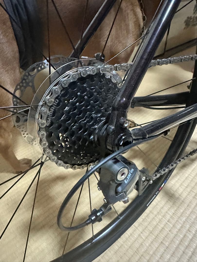 自転車本体 TREK Domane AL2 GEN4