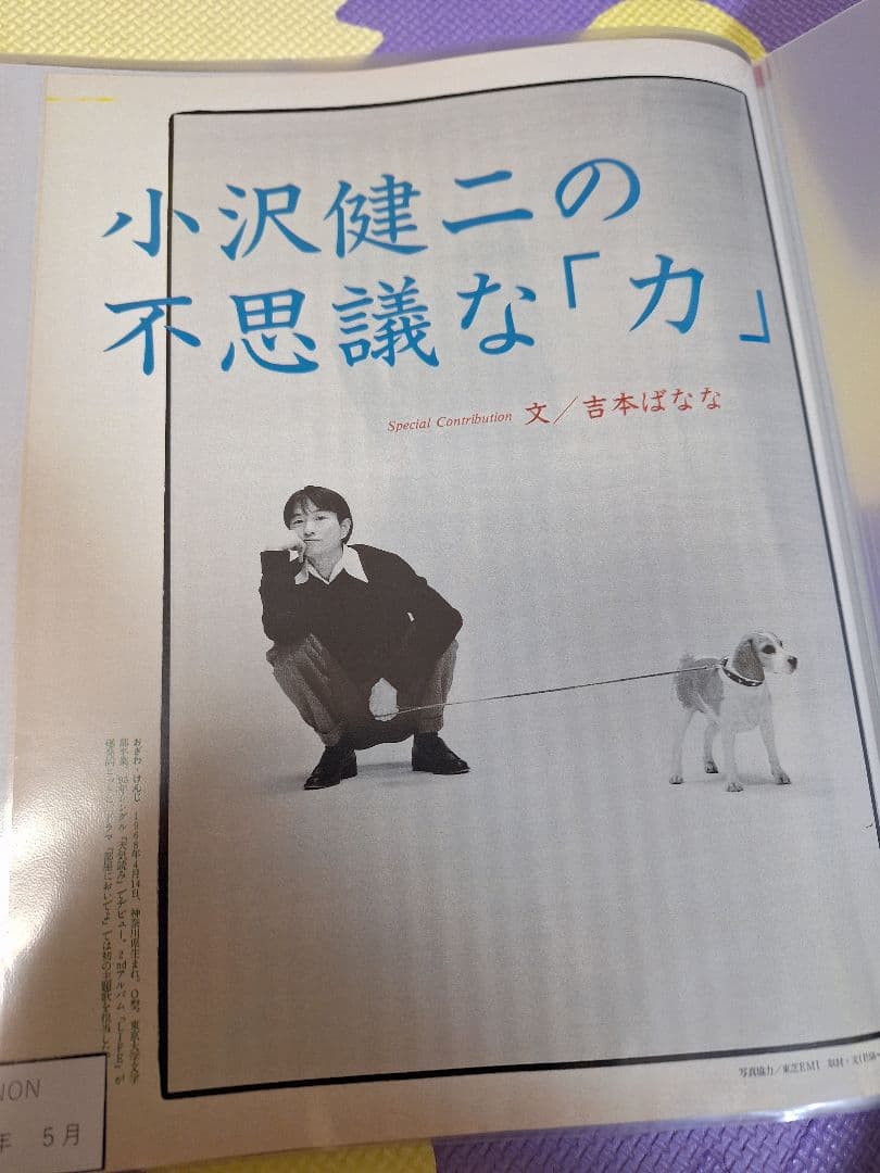 ヌ*ピ様 小沢健二(1冊200円計算)41冊分114ページ切り抜きしファイリング