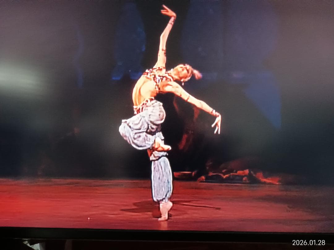 J083　DVD　ＤＶＤ　バレエ　シェヘラザート・薔薇の精・タン人の踊り・火の鳥