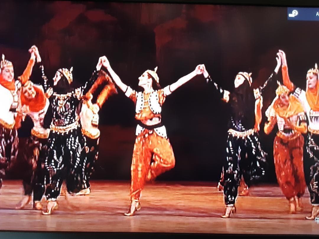 J083　DVD　ＤＶＤ　バレエ　シェヘラザート・薔薇の精・タン人の踊り・火の鳥