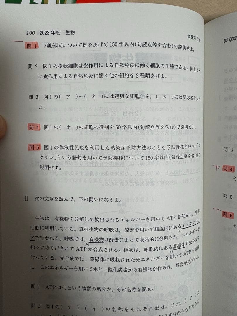 東京学芸大学　赤本　5冊セット