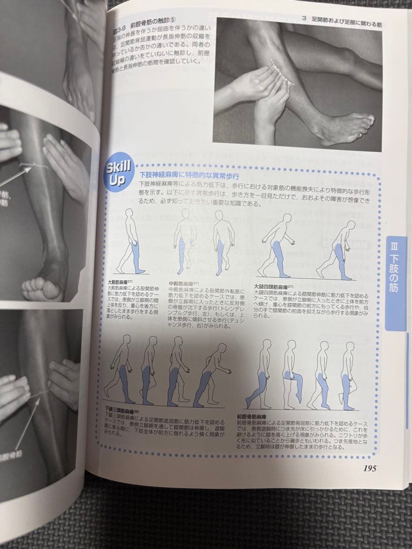 運動療法書籍セット X線像・触診技術3冊セット　理学療法士　作業療法士　国家試験