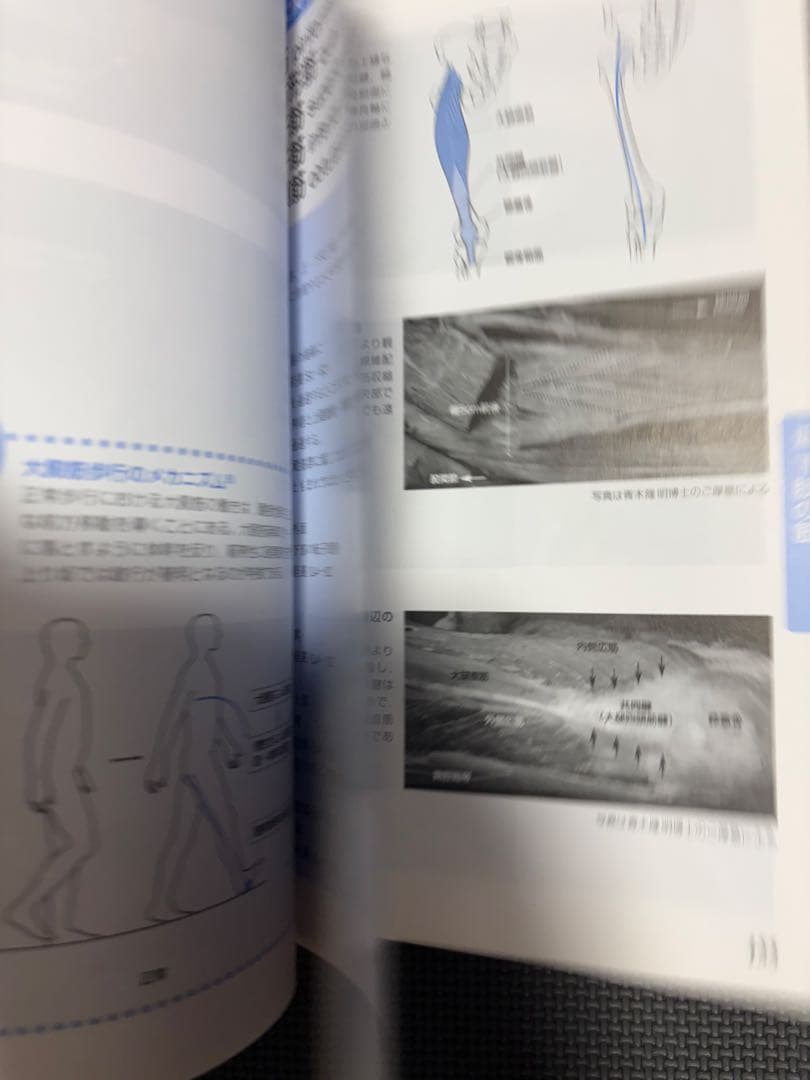 運動療法書籍セット X線像・触診技術3冊セット　理学療法士　作業療法士　国家試験