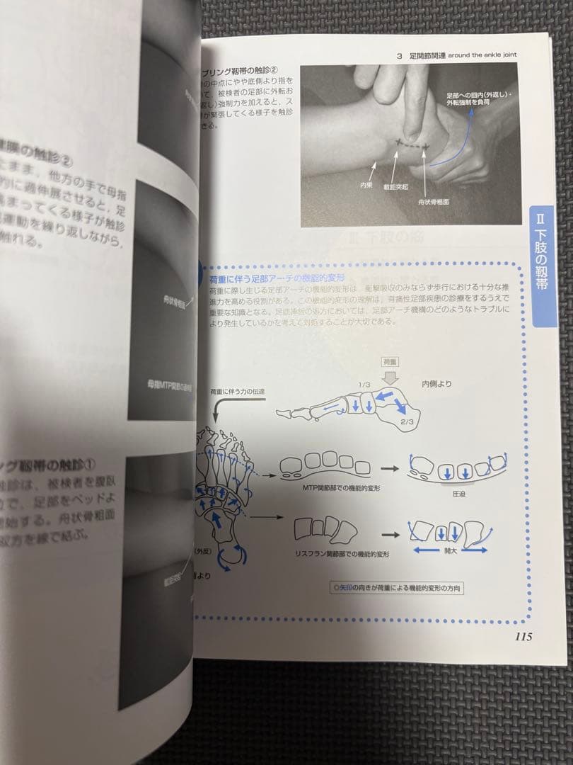 運動療法書籍セット X線像・触診技術3冊セット　理学療法士　作業療法士　国家試験