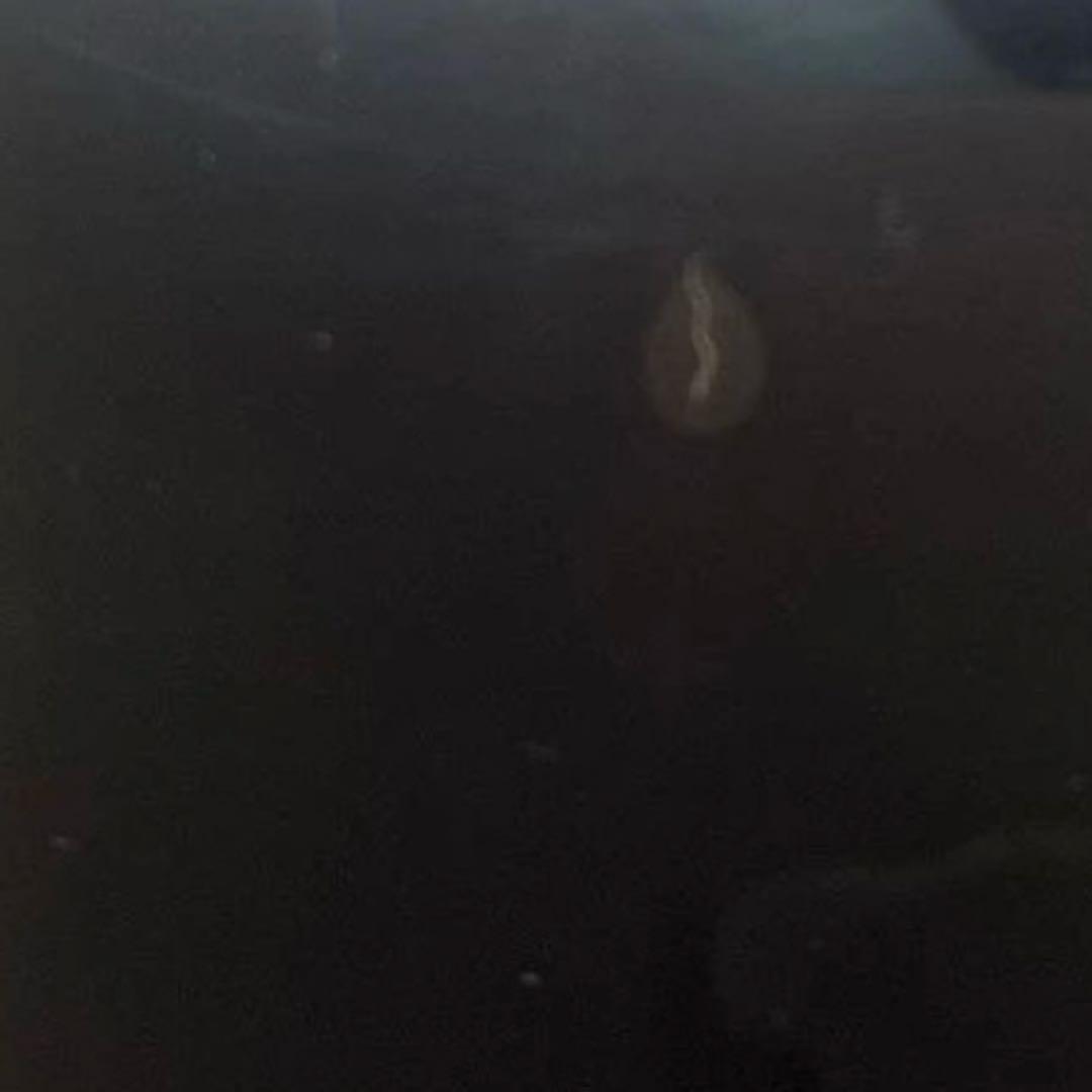 Switchライトグレー（本体のみ）ジャンク品