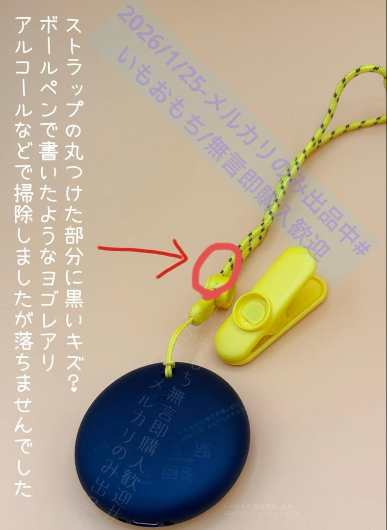 Pokémon GO Plus+ (本体とストラップのみ)