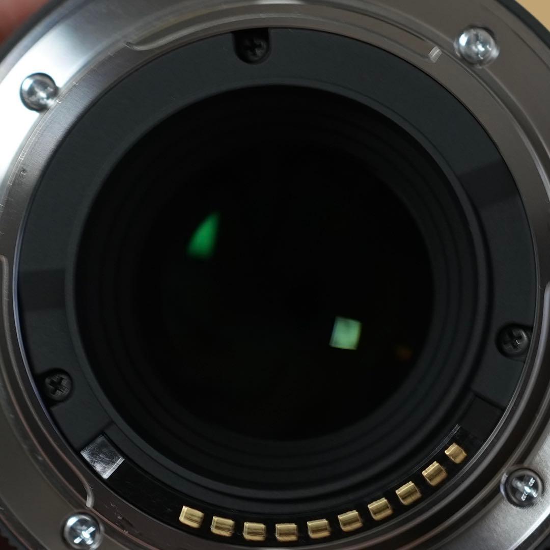 レンズ(単焦点) SIGMA 30mm F1.4 DC DN (SONY E-mount)