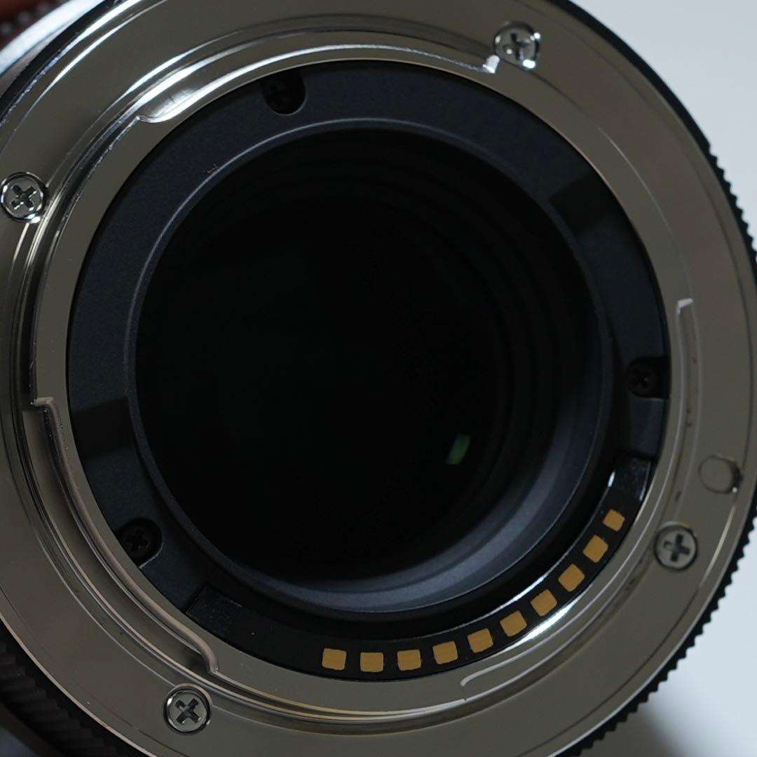 レンズ(単焦点) SIGMA 30mm F1.4 DC DN (SONY E-mount)