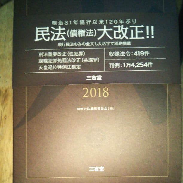 論文基本問題刑法100選