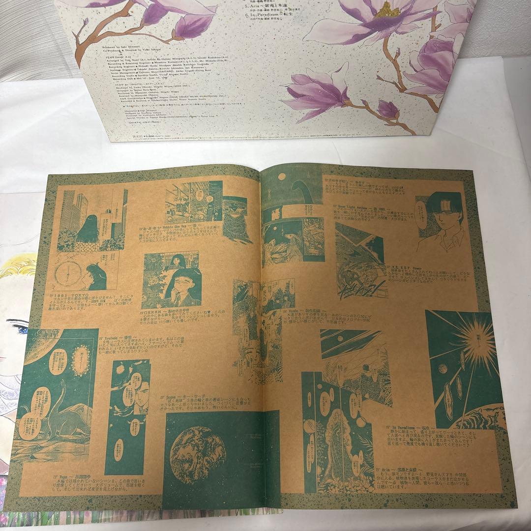 LPレコード ぼくの地球を守って 日渡早紀　貴重　レア