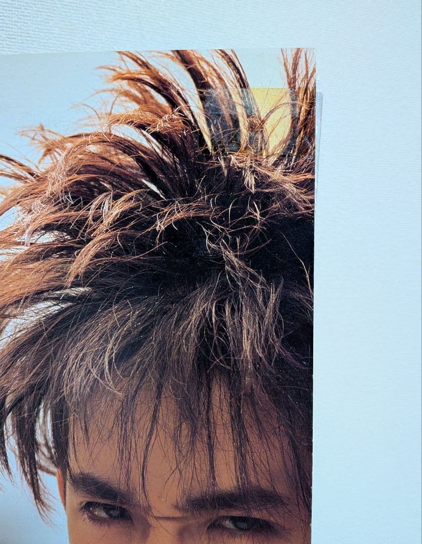 たろーどん！ ユニコーン パニックアタック LPレコード アナログ盤