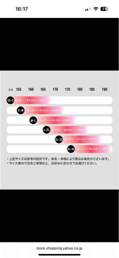 43DEGREES 43d スノーボードウェア ビブパンツ　メンズ　2L-3L