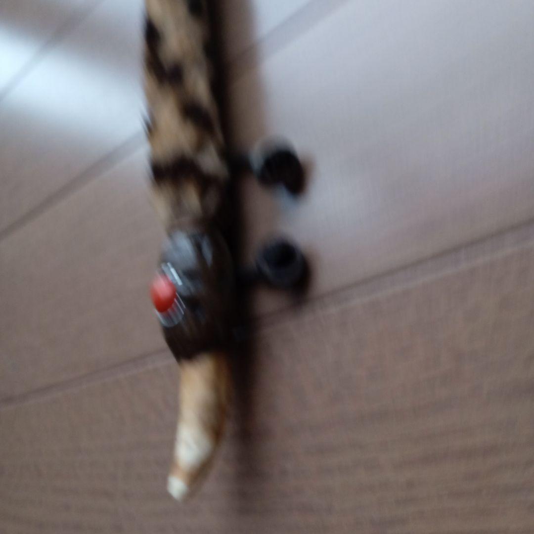 シャーマンのパイプ　（トリックスター）