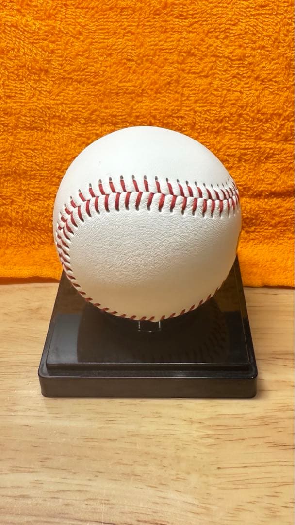 巨人　ジャイアンツ　若林楽人選手　サインボール　投げ入れ　投げ込み　直筆