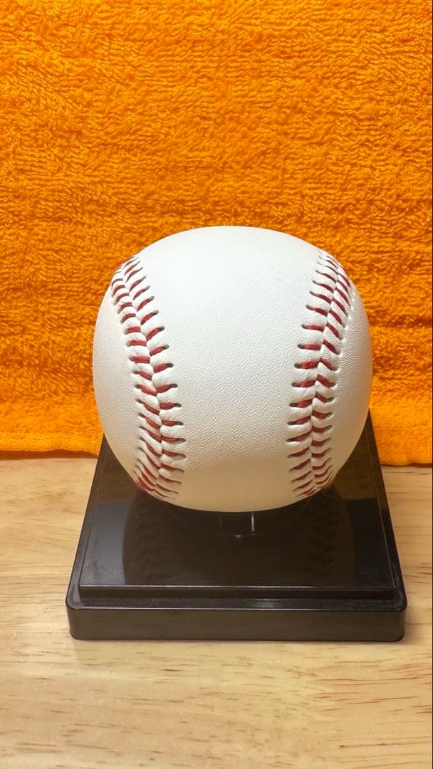 巨人　ジャイアンツ　若林楽人選手　サインボール　投げ入れ　投げ込み　直筆