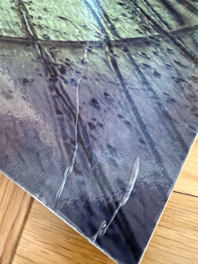 【売約有】志賀理江子「螺旋海岸 album」赤々舎