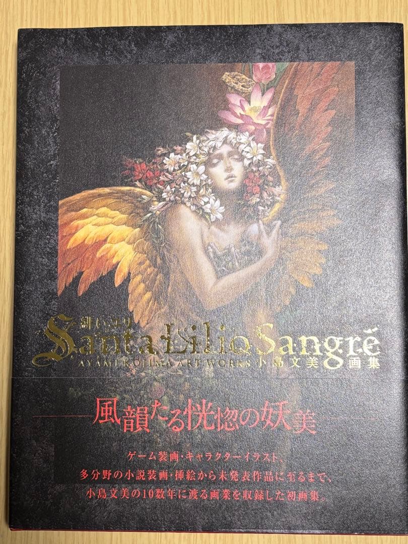 小島文美　画集『緋いユリ』　美品　悪魔城ドラキュラ