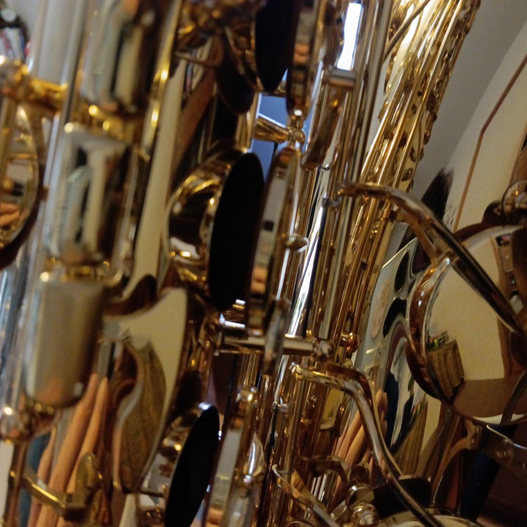 yanagisawa two10 ヘビー仕様テナーサックス