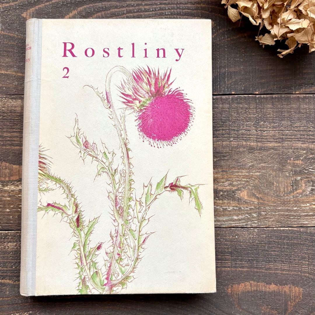 [美しい植物画]チェコの古い植物図鑑(1942年)/ボタニカルアート 雰囲気◎/