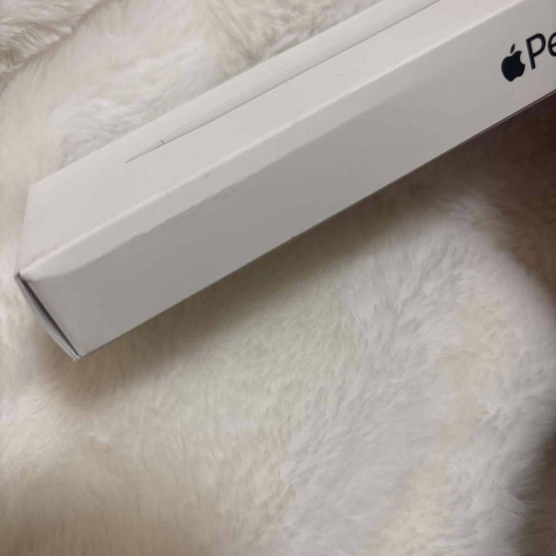 Apple Pencil (USB-C)ホワイト　未使用