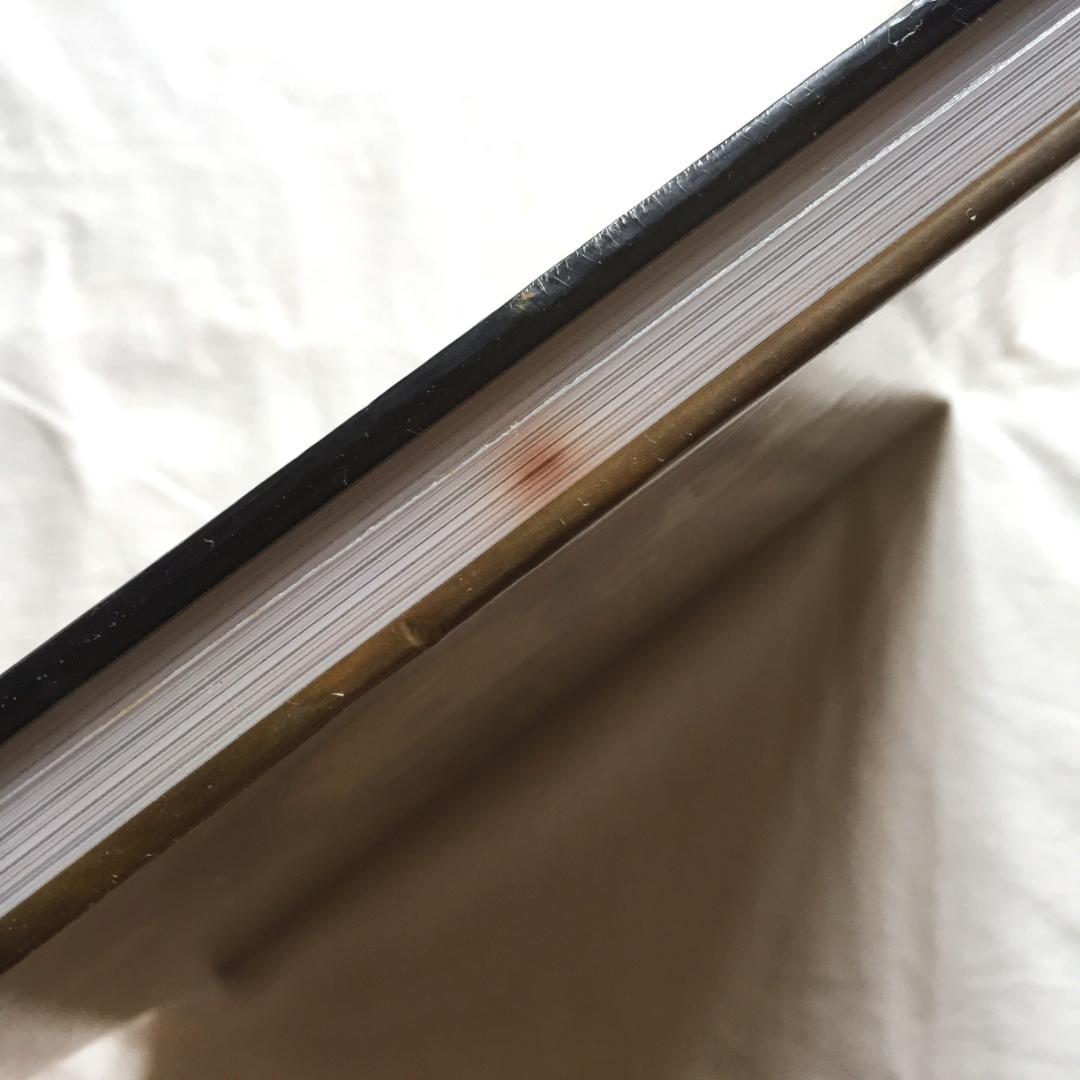 ビンテージ 2001年Mark Ryden Anima Mundi 大肉天 画集